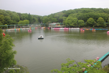 dometour_105.jpg