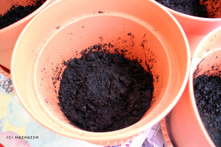 mirainotane2015_4.jpg