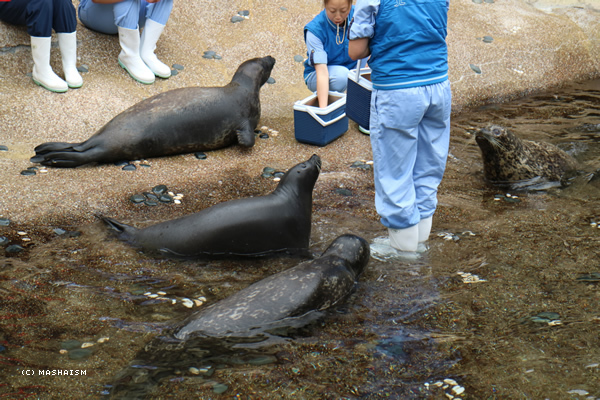 oceanpark2018_6.jpg