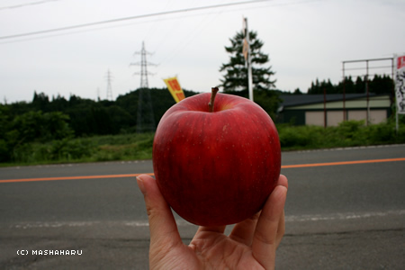 aomori2.jpg