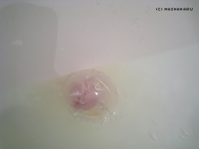 bathball9.jpg
