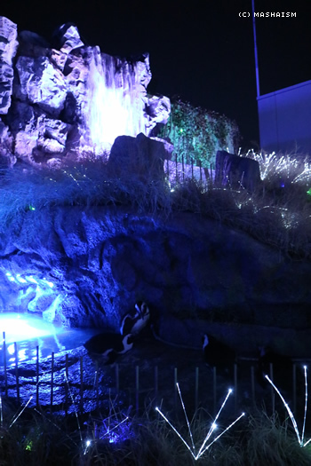 daikanshasai17_63.jpg