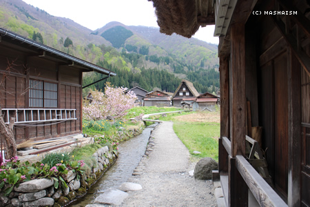 dometour_131.jpg