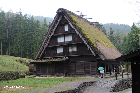 dometour_162.jpg
