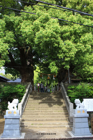 dometour_542.jpg