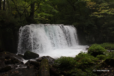 eastjapantrip193.jpg