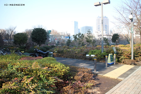 kanshasai14_316.jpg