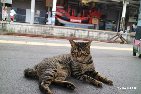 nagasaki2015_297.jpg