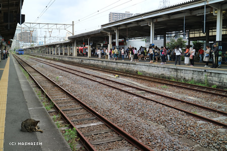 nagasaki2015_298.jpg