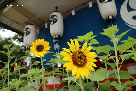 nagasaki2015_326.jpg