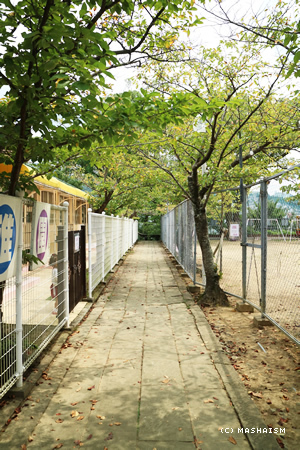 nagasaki2015_332.jpg