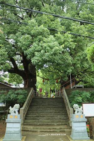 nagasaki20160809_4.jpg