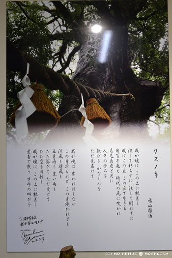 nagasakiillumination_18.jpg