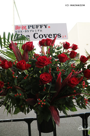 puffy20thtour_233.jpg
