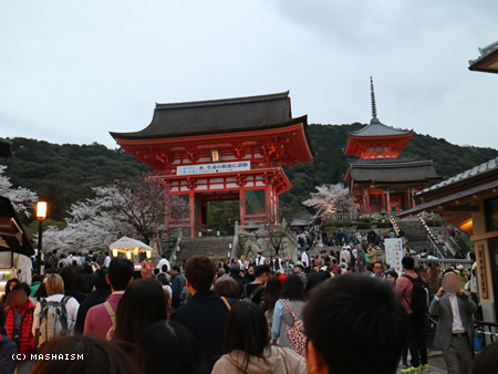 sakuratrip2015_33.jpg
