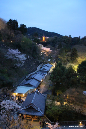 sakuratrip2015_37.jpg