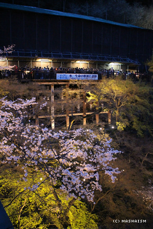 sakuratrip2015_38.jpg