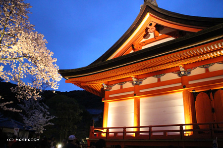 sakuratrip2015_39.jpg