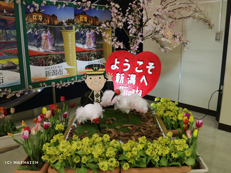 sakuratrip2015_439.jpg