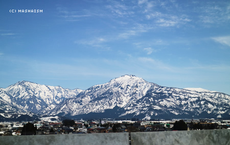 sakuratrip2015_440.jpg