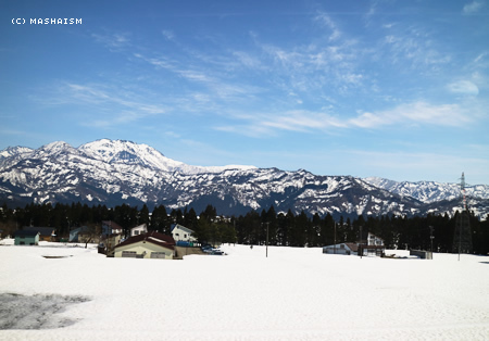 sakuratrip2015_441.jpg
