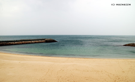 sakuratrip2015_98.jpg