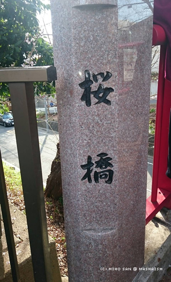 sakurazaka2017_18.jpg