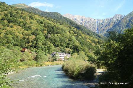 werebrostrip2016_251.jpg