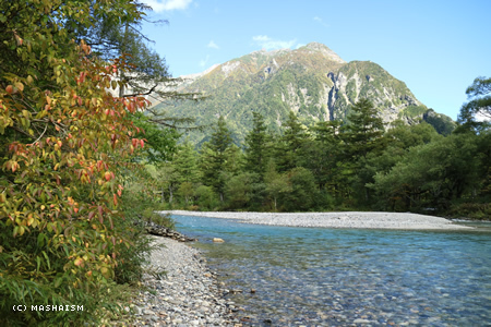 werebrostrip2016_314.jpg