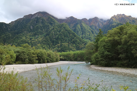 werebrostrip2016_330.jpg