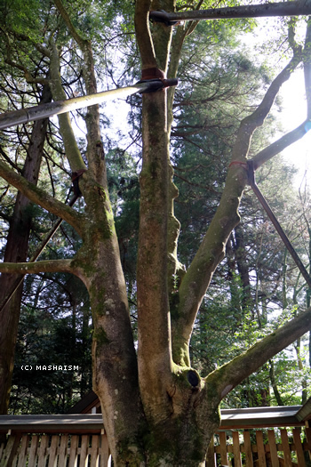 westjptrip_1085.jpg