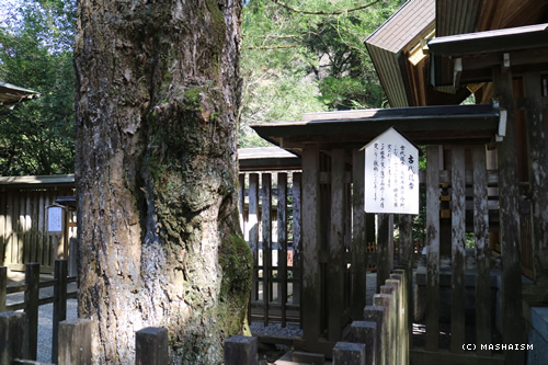 westjptrip_1087.jpg