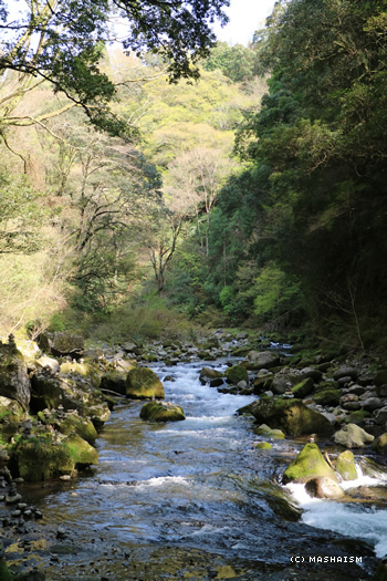 westjptrip_1108.jpg