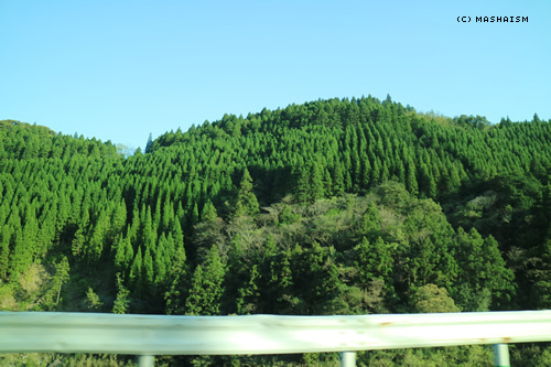 westjptrip_1120.jpg