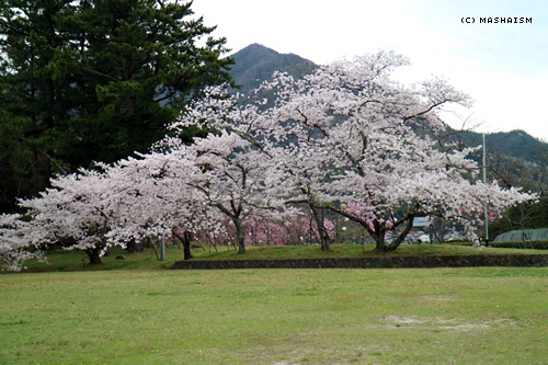 westjptrip_491.jpg
