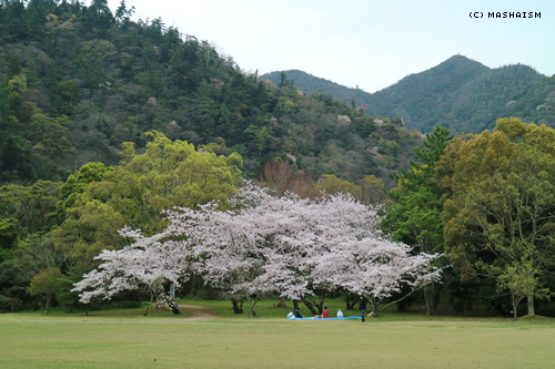 westjptrip_541.jpg