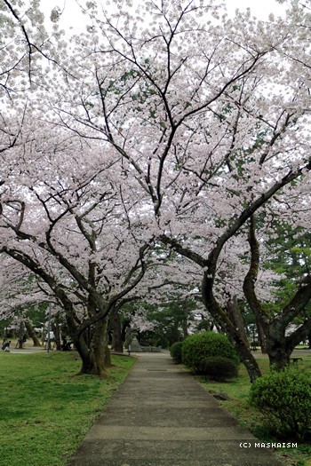 westjptrip_543.jpg