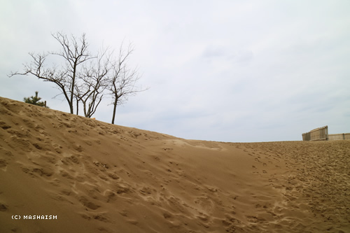 westjptrip_765.jpg