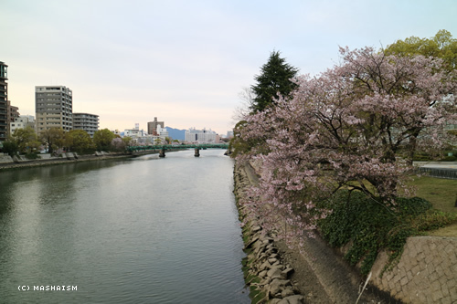 westjptrip_881.jpg