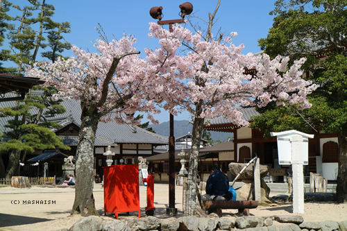 westjptrip_971.jpg