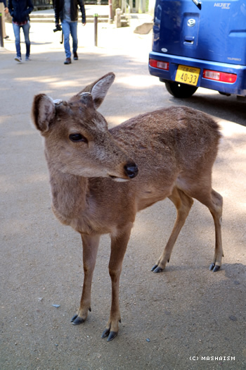 westjptrip_980.jpg