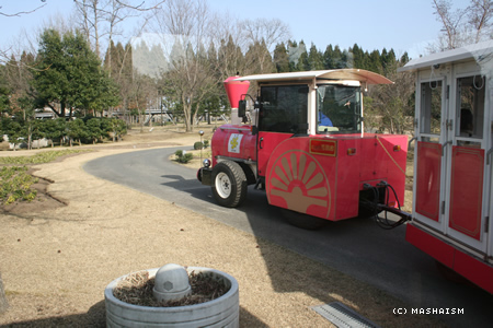 wjt155.jpg
