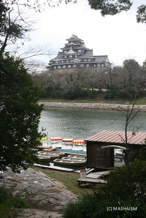 wjt19.jpg