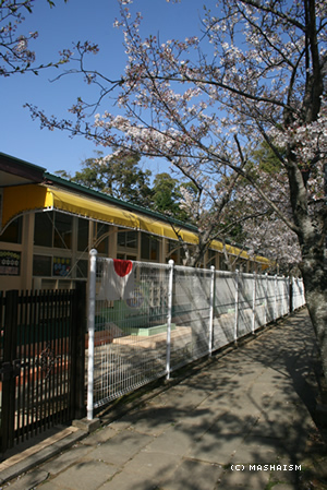 wjt355.jpg